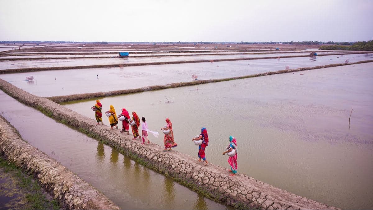 Women walking along shrimp ponds
